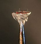 Willard Wigan, Titanic on the tip of a pin